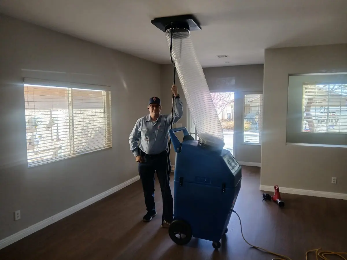Professional Dryer Vent Cleaning work inside a Herrin home
